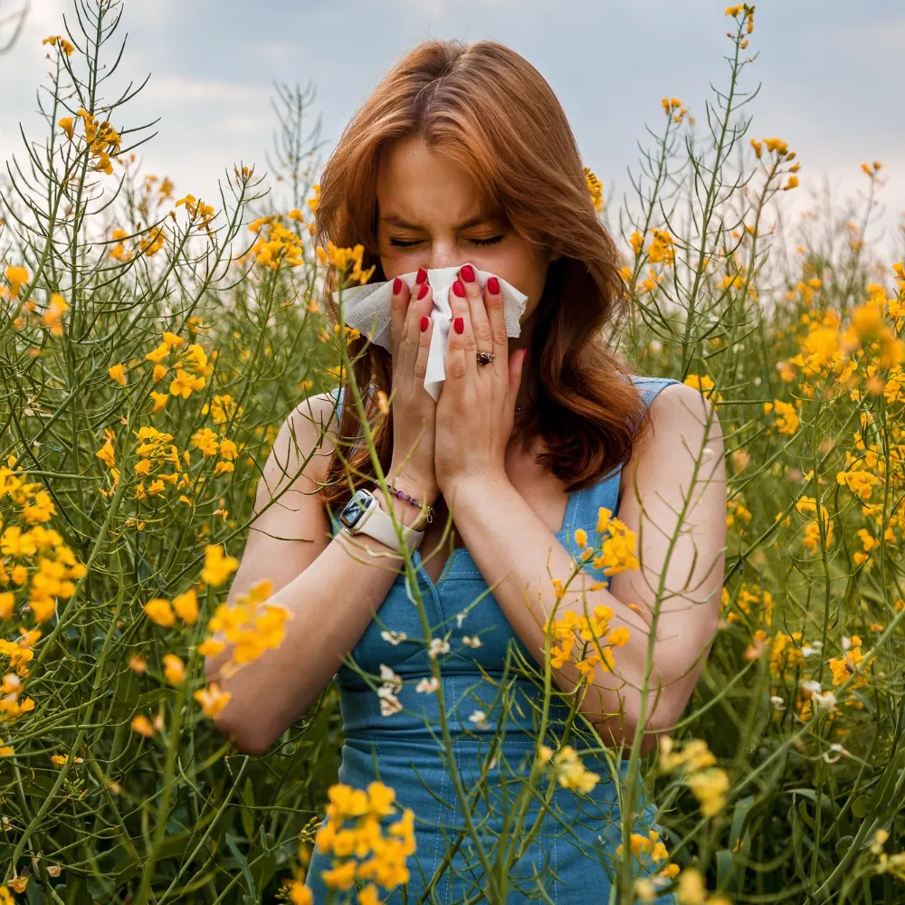 Allergy Conjunctivitis